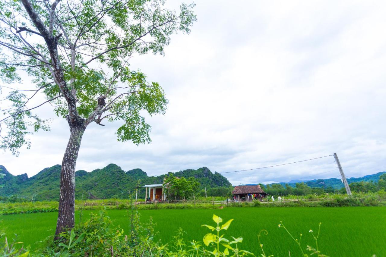 Pomelo Homestay Phong Nha Kültér fotó