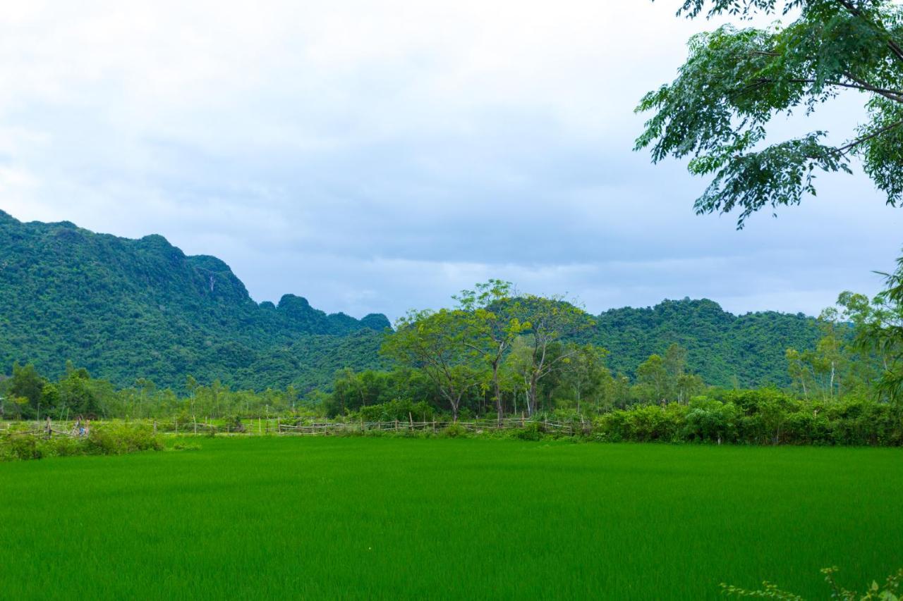Pomelo Homestay Phong Nha Kültér fotó