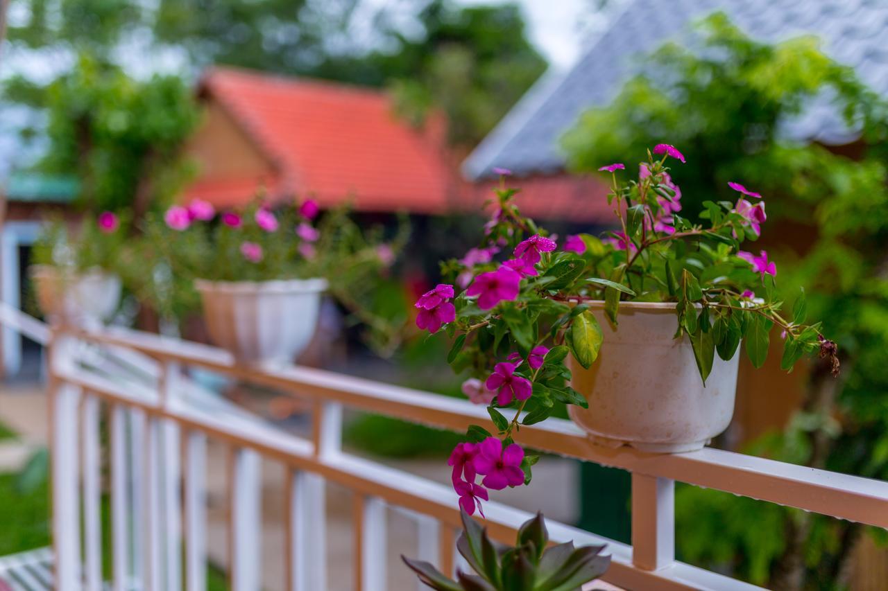 Pomelo Homestay Phong Nha Kültér fotó