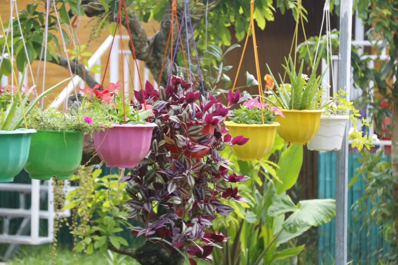 Pomelo Homestay Phong Nha Kültér fotó