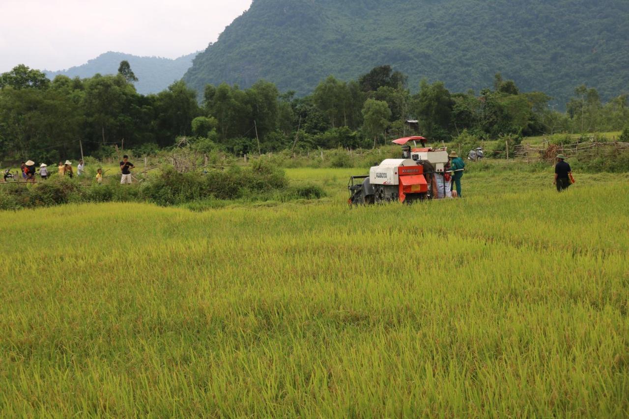 Pomelo Homestay Phong Nha Kültér fotó