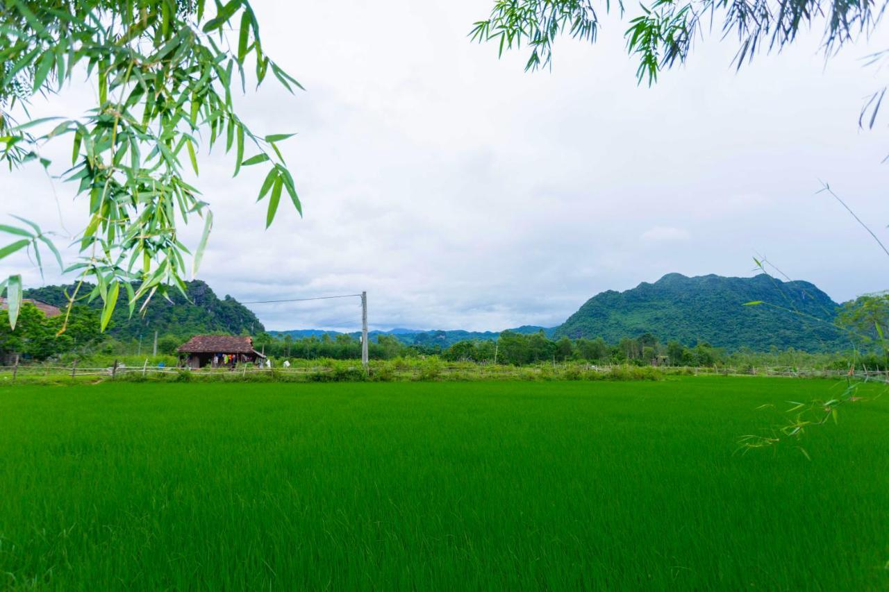 Pomelo Homestay Phong Nha Kültér fotó